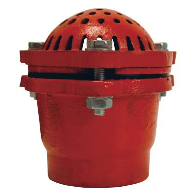 Dixon Valve Painted Foot Valves, 4 in Outlet, Female/Female, Cast Iron, DFVS40