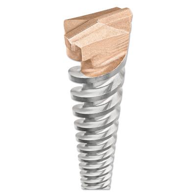 DeWalt® SDS-Max Shank Hammer Bits, 16 in, 1/2 in Dia., DW5804
