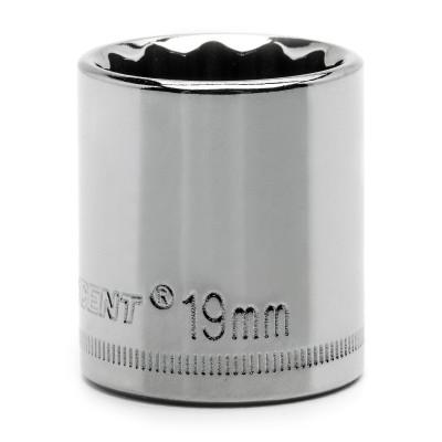 Apex Tool Group 12 Point Standard Metric Sockets, 1/2 in Dr, 22 mm Opening, CDS82N