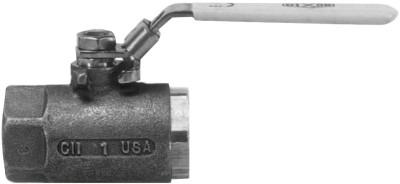 Dixon Valve Ball Valves, 1 1/2 in (NPT) Inlet, Female/Female, Stainless Steel, SSBV150